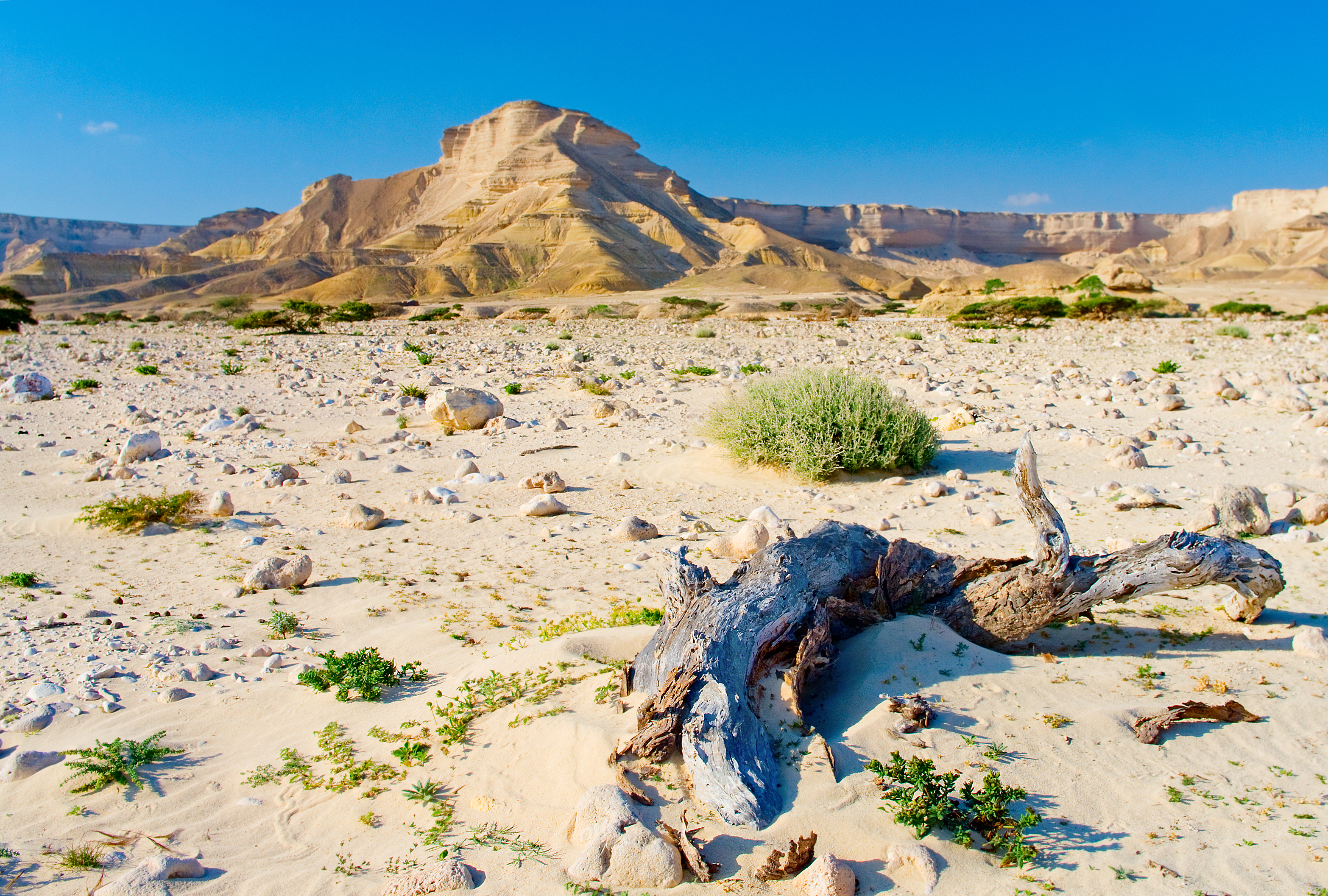 wadiAsch-Schuwaimiyya