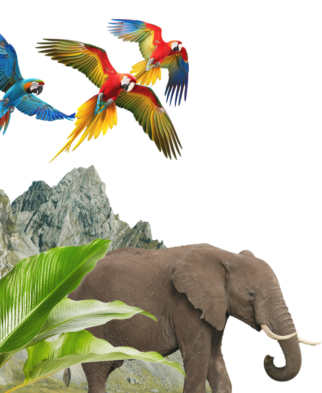 Tourlane Ma geschneiderte Unvergessliche Reisen Tourlane Ma geschneiderte Unvergessliche Reisen