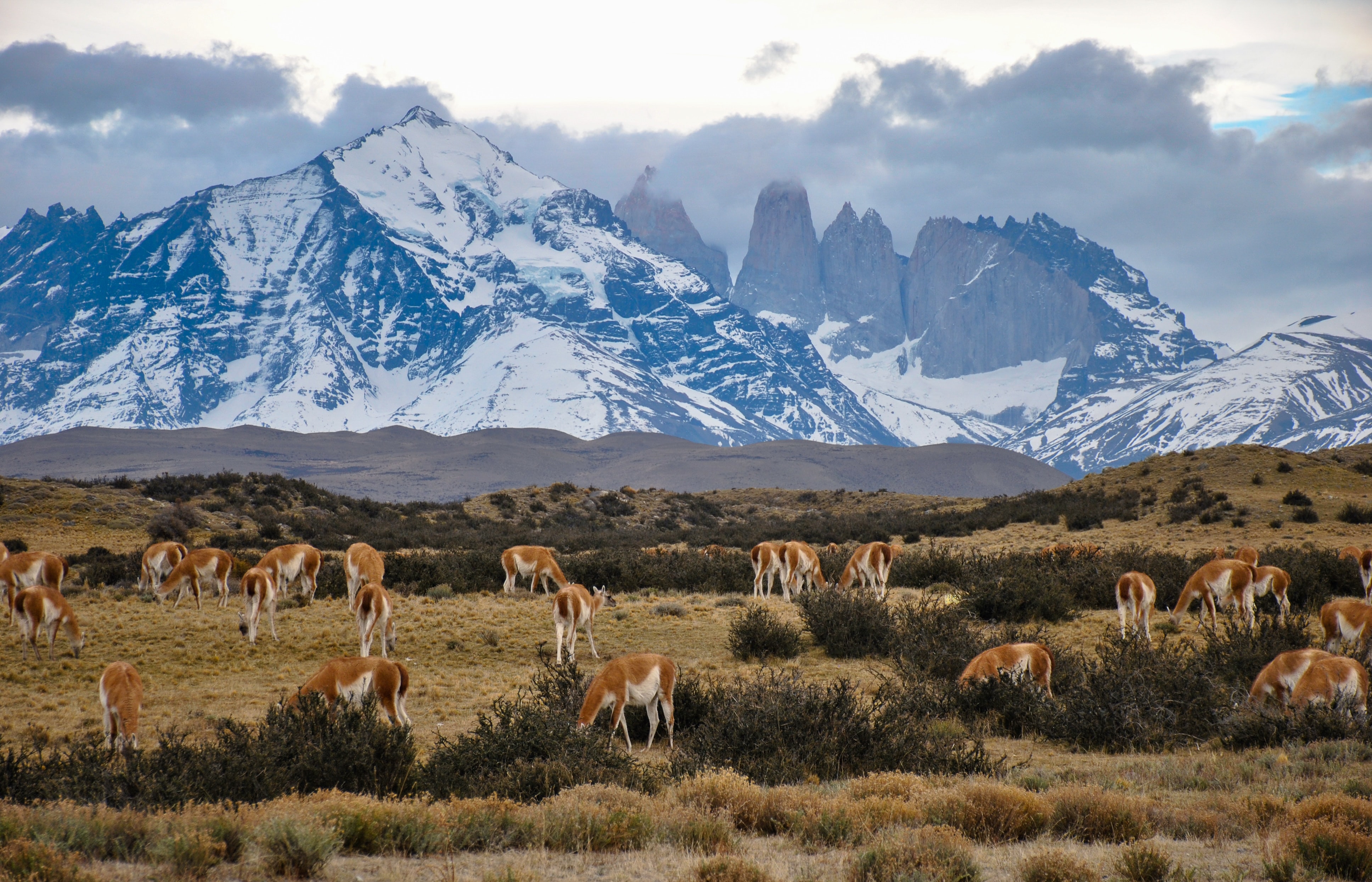 TorresdelPaine